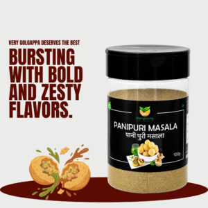 Vanipurna Panipuri Masala 100GM